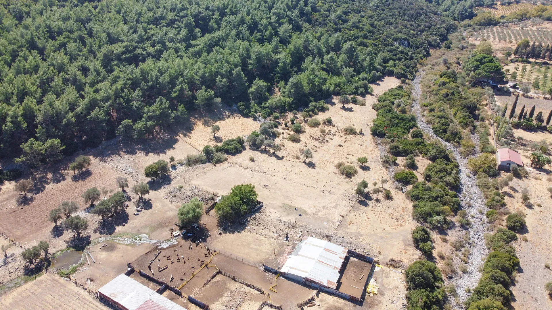 DJI_0698 URLA ZEYTİNLER’DE İYTE SINIRINDA 15.433,85 M² TARLA