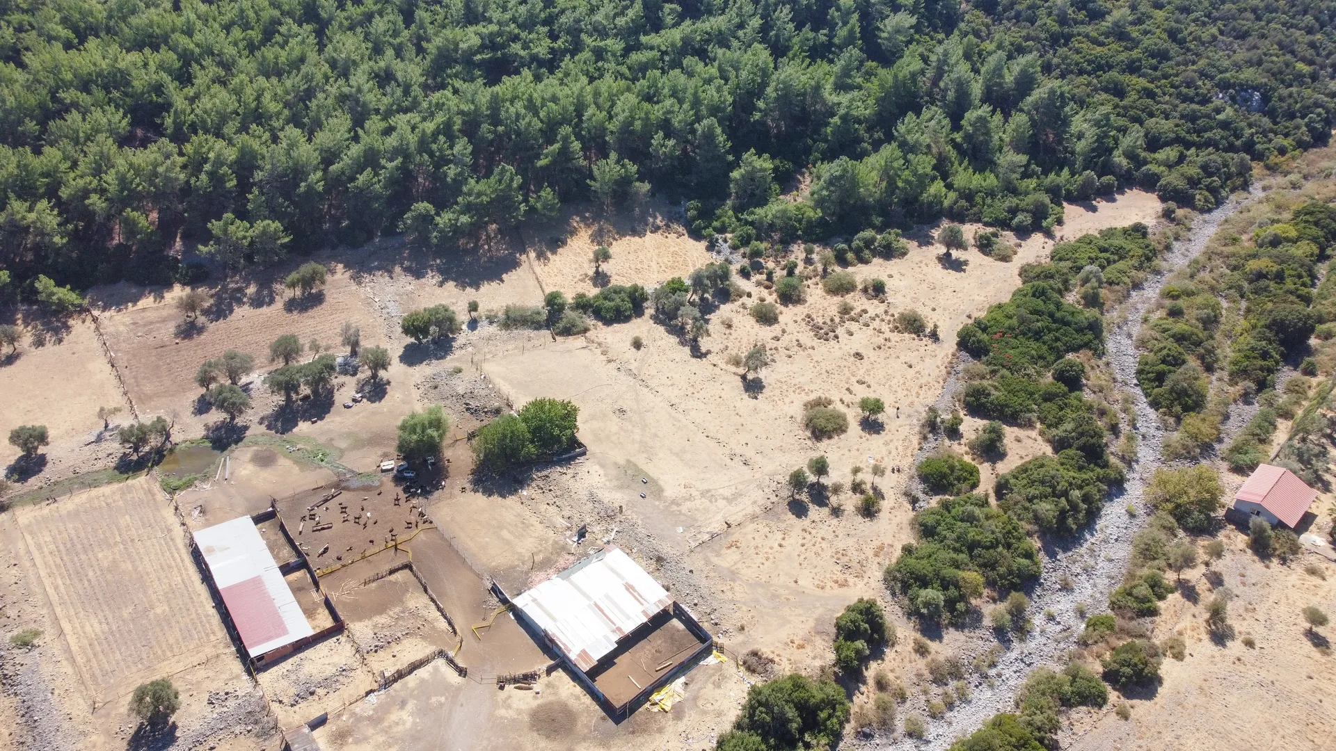DJI_0699 URLA ZEYTİNLER’DE İYTE SINIRINDA 15.433,85 M² TARLA