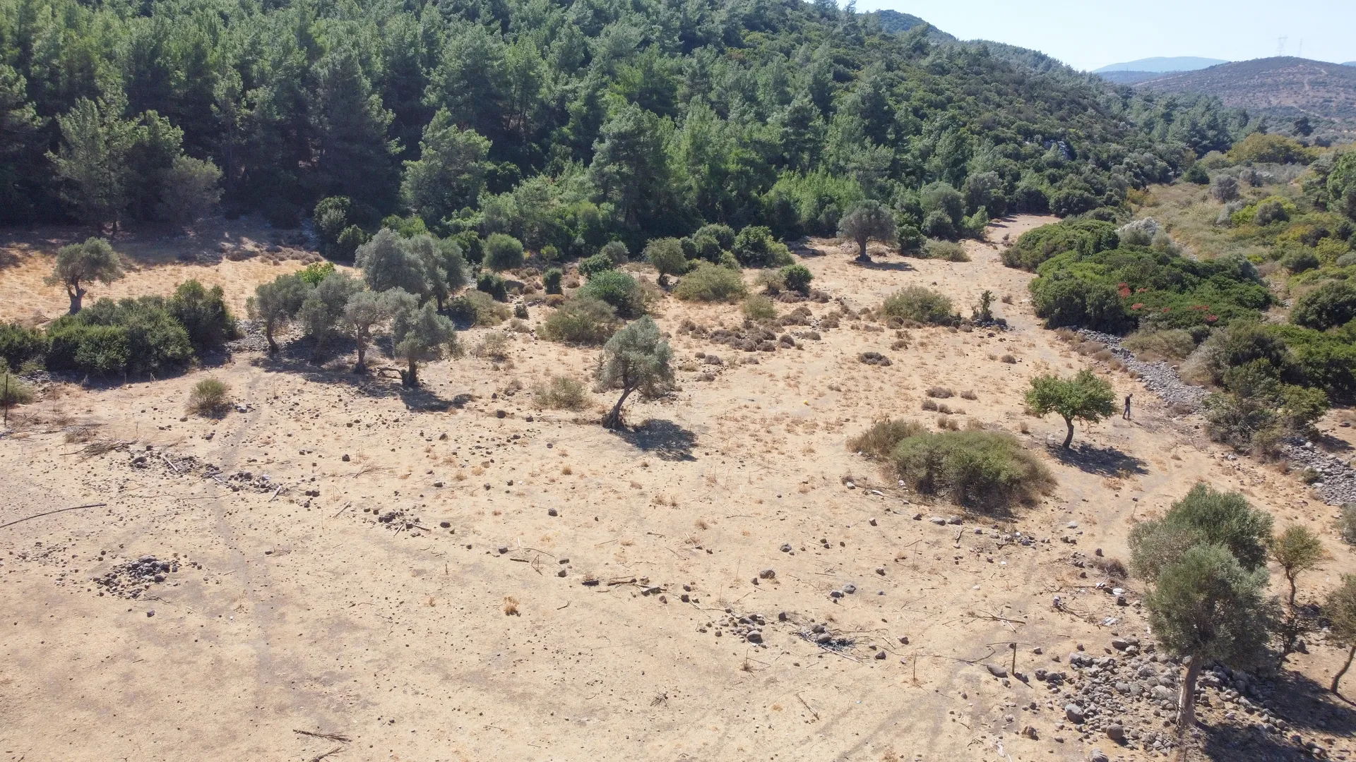 DJI_0707 URLA ZEYTİNLER’DE İYTE SINIRINDA 15.433,85 M² TARLA