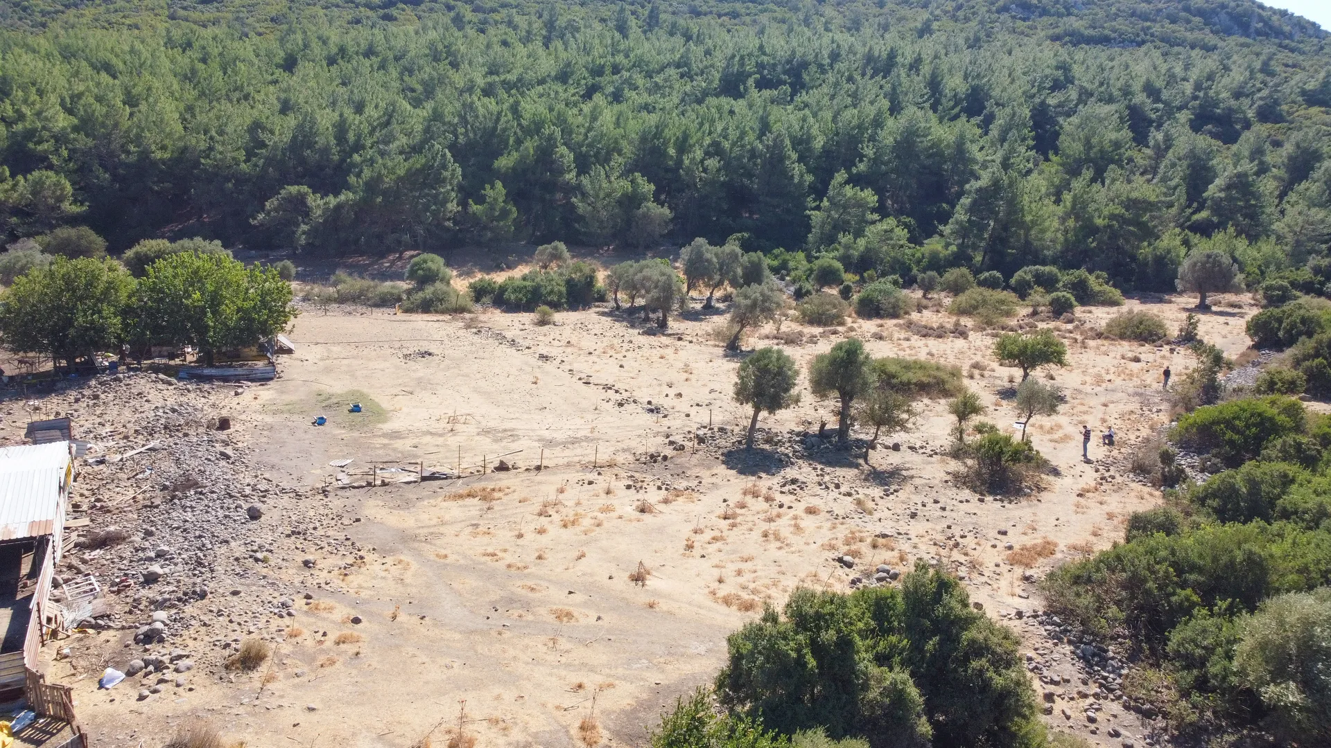 DJI_0708 URLA ZEYTİNLER’DE İYTE SINIRINDA 15.433,85 M² TARLA