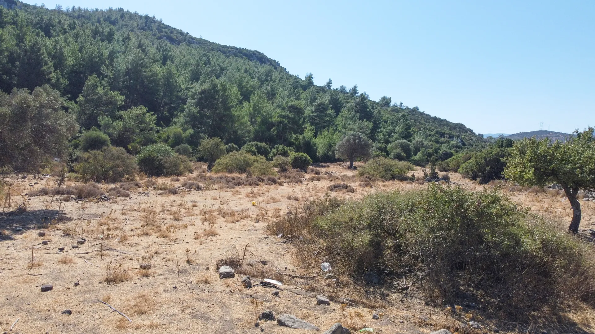 DJI_0709 URLA ZEYTİNLER’DE İYTE SINIRINDA 15.433,85 M² TARLA