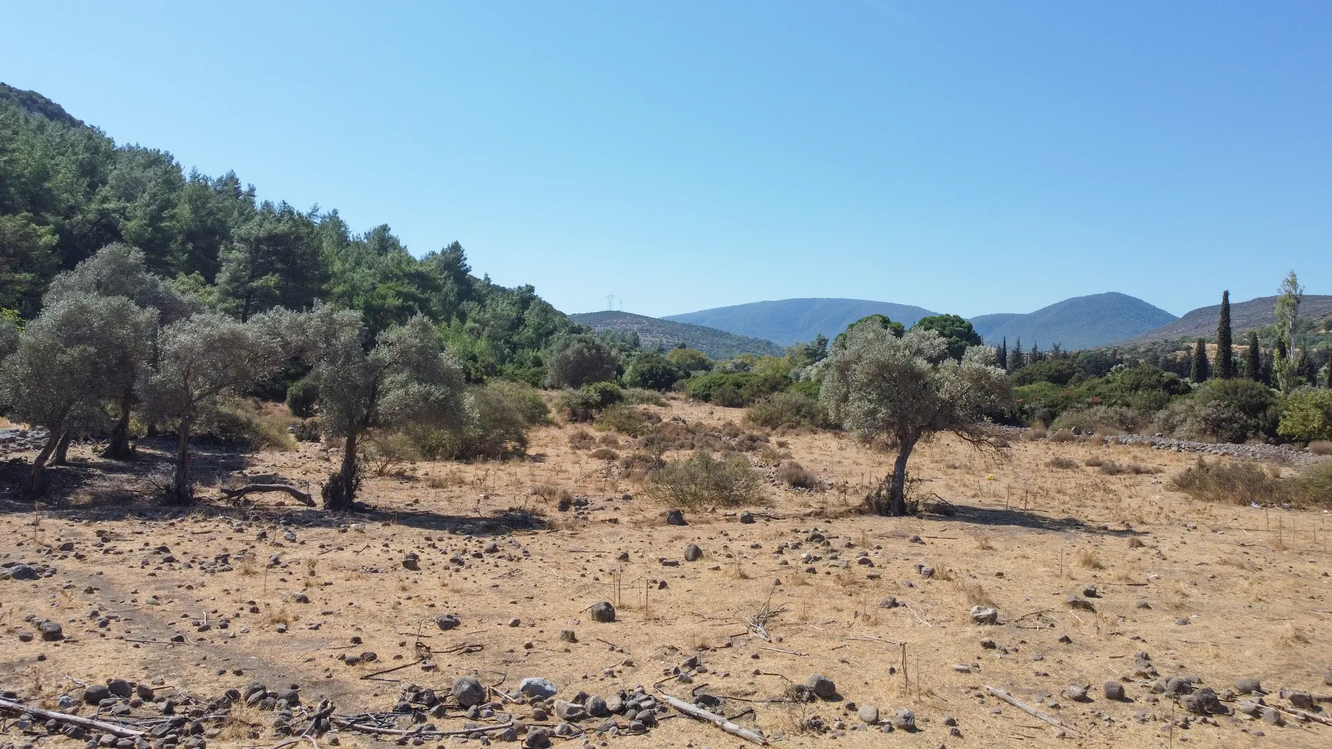 DJI_0711 URLA ZEYTİNLER’DE İYTE SINIRINDA 15.433,85 M² TARLA