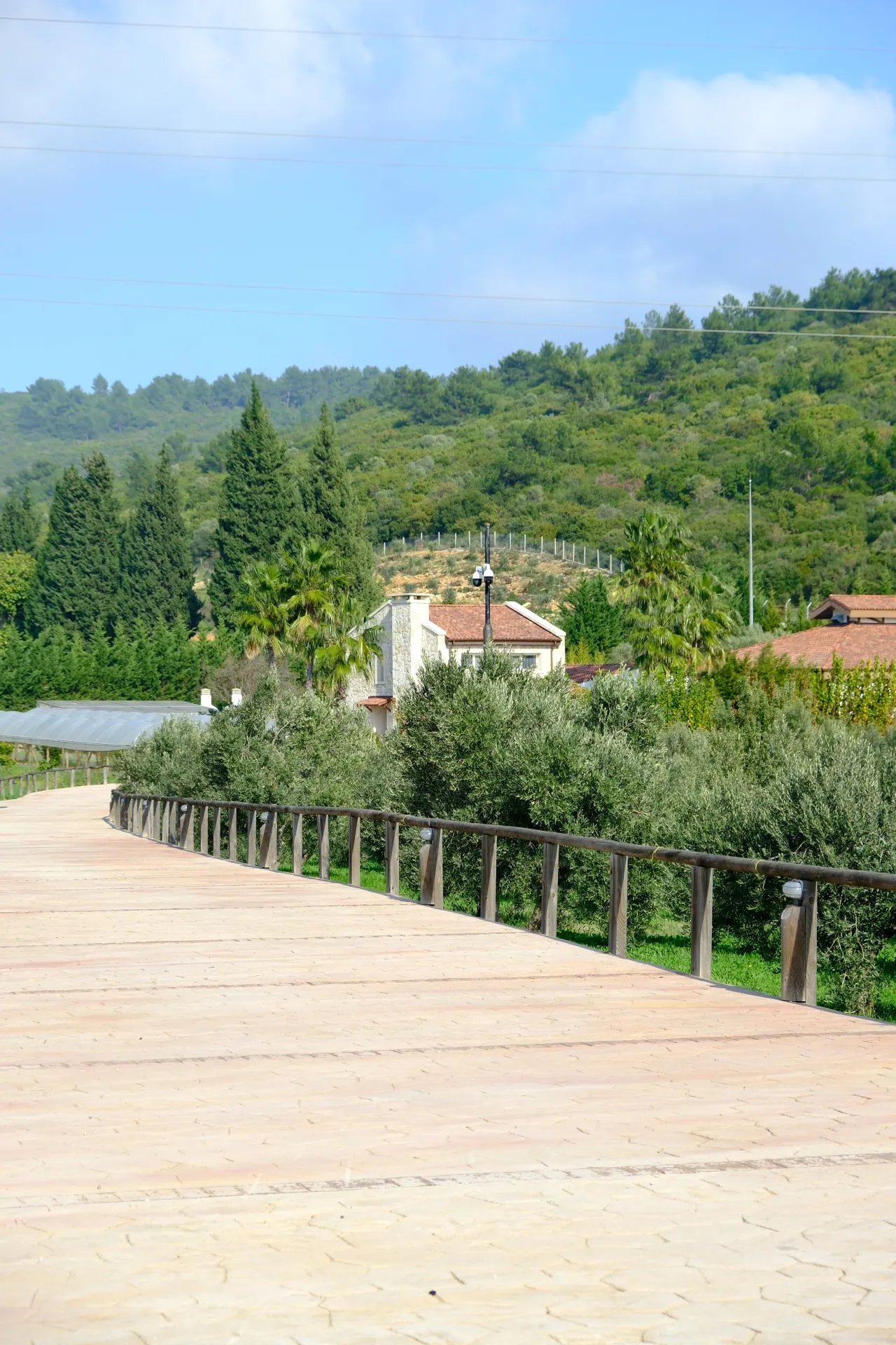 URLA OVACIK’TA DOĞA VE HUZUR DOLU SATILIK ÇİFTLİK