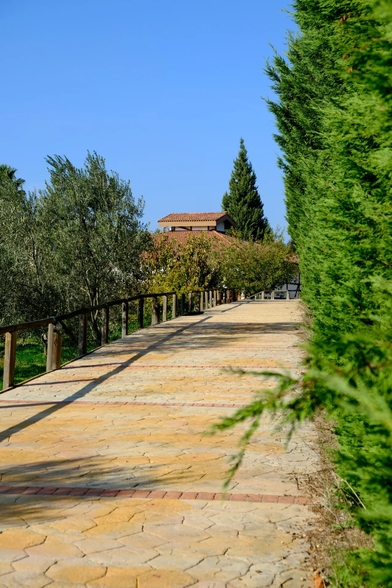 URLA OVACIK’TA DOĞA VE HUZUR DOLU SATILIK ÇİFTLİK