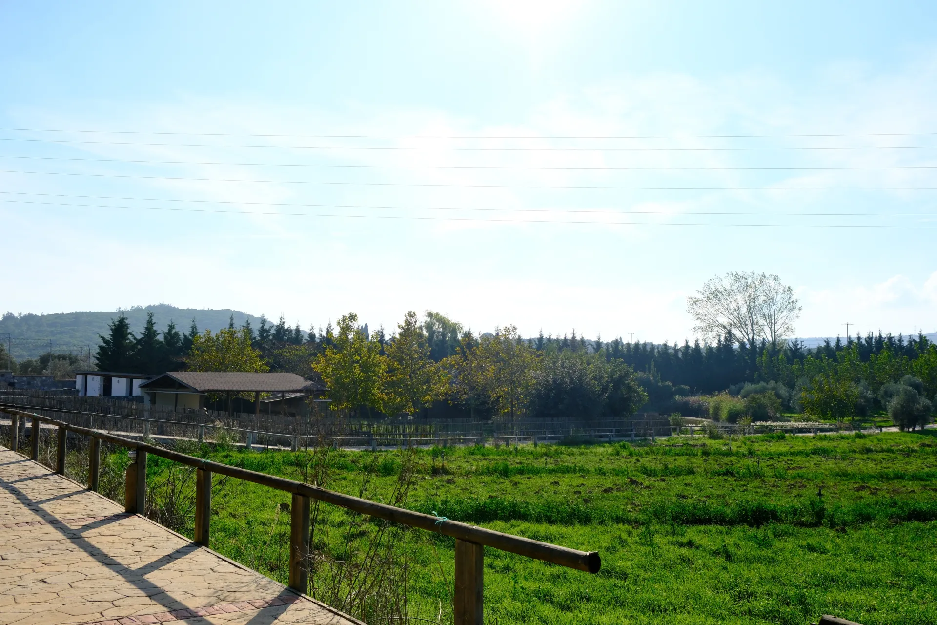 URLA OVACIK’TA DOĞA VE HUZUR DOLU SATILIK ÇİFTLİK