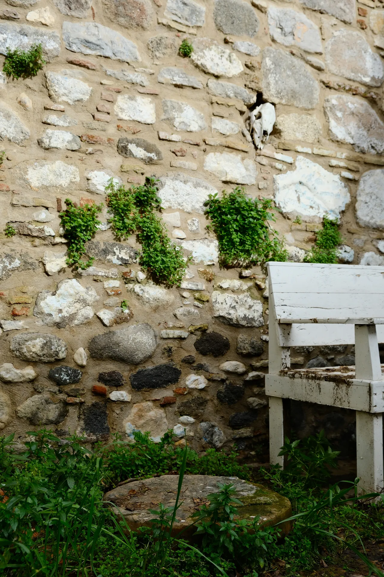 URLA GÜLBAHÇE’DE TARİHİ SARNIÇLI RUM EVİ