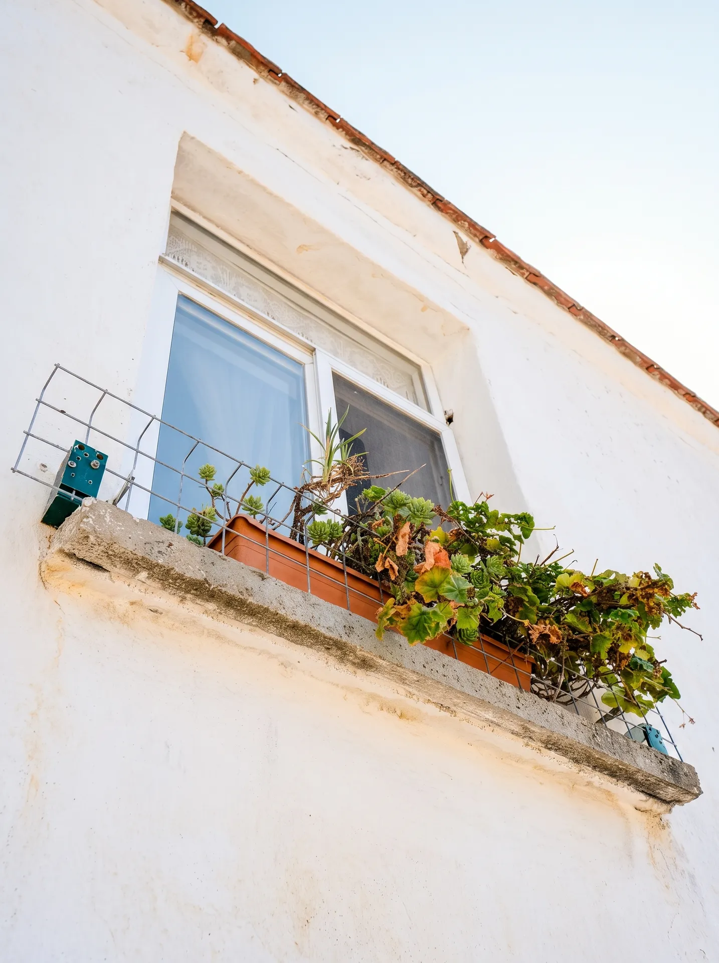 ildiriRE (10) ÇEŞME ILDIR’IN KALBİNDE TESCİLLİ TARİHİ RUM EVİ