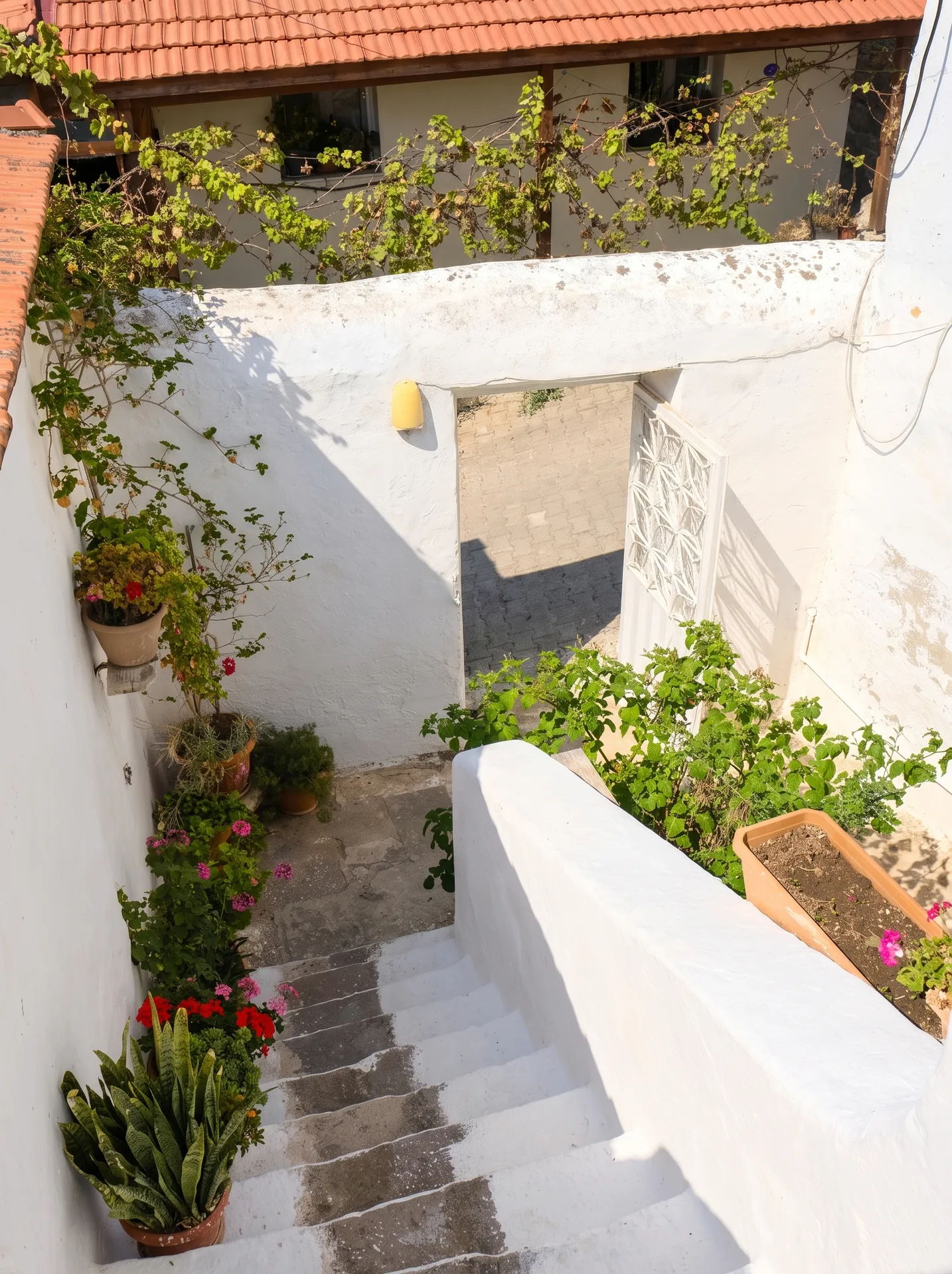 ildiriRE (14) ÇEŞME ILDIR’IN KALBİNDE TESCİLLİ TARİHİ RUM EVİ