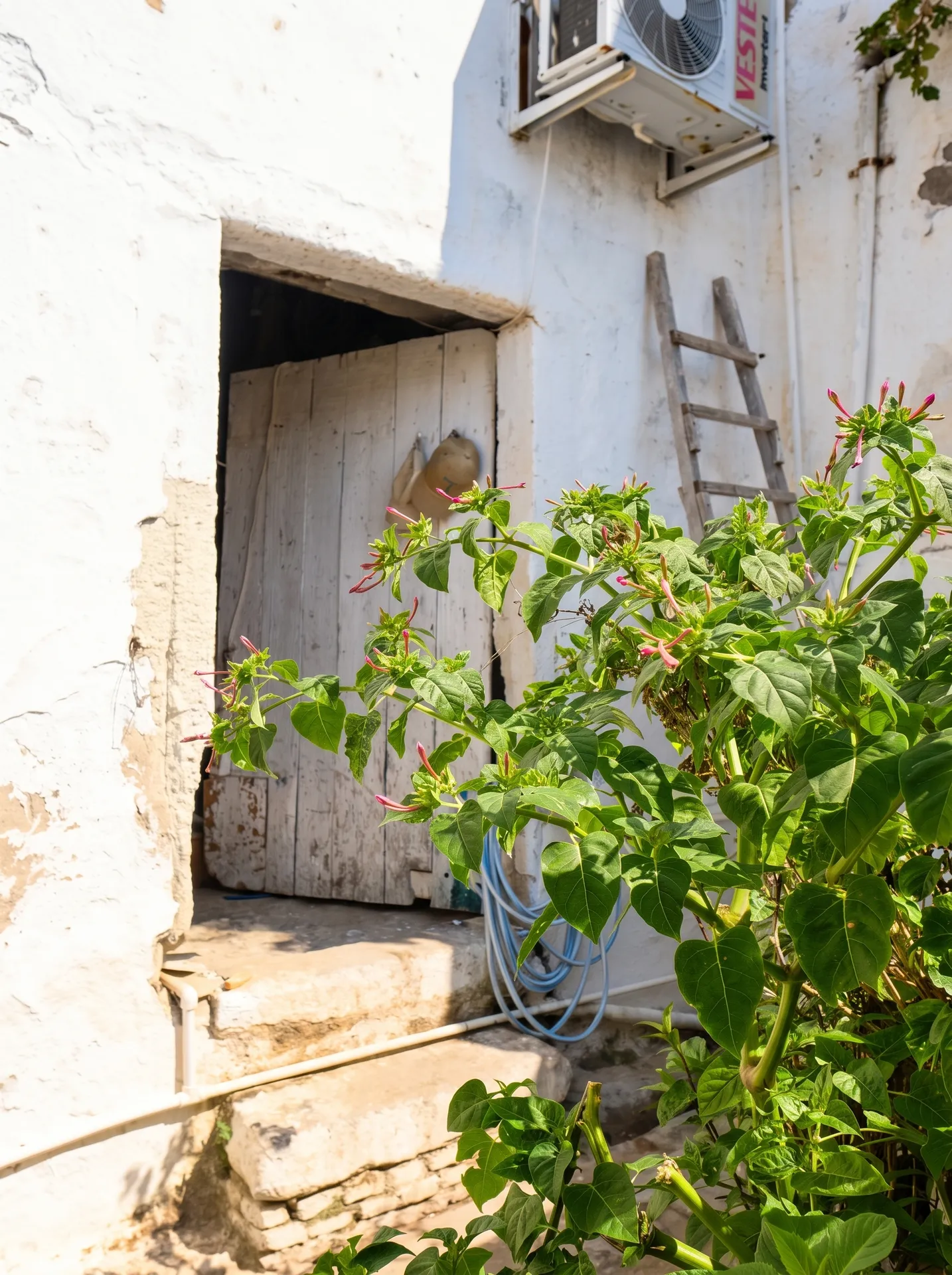 ildiriRE (17) ÇEŞME ILDIR’IN KALBİNDE TESCİLLİ TARİHİ RUM EVİ