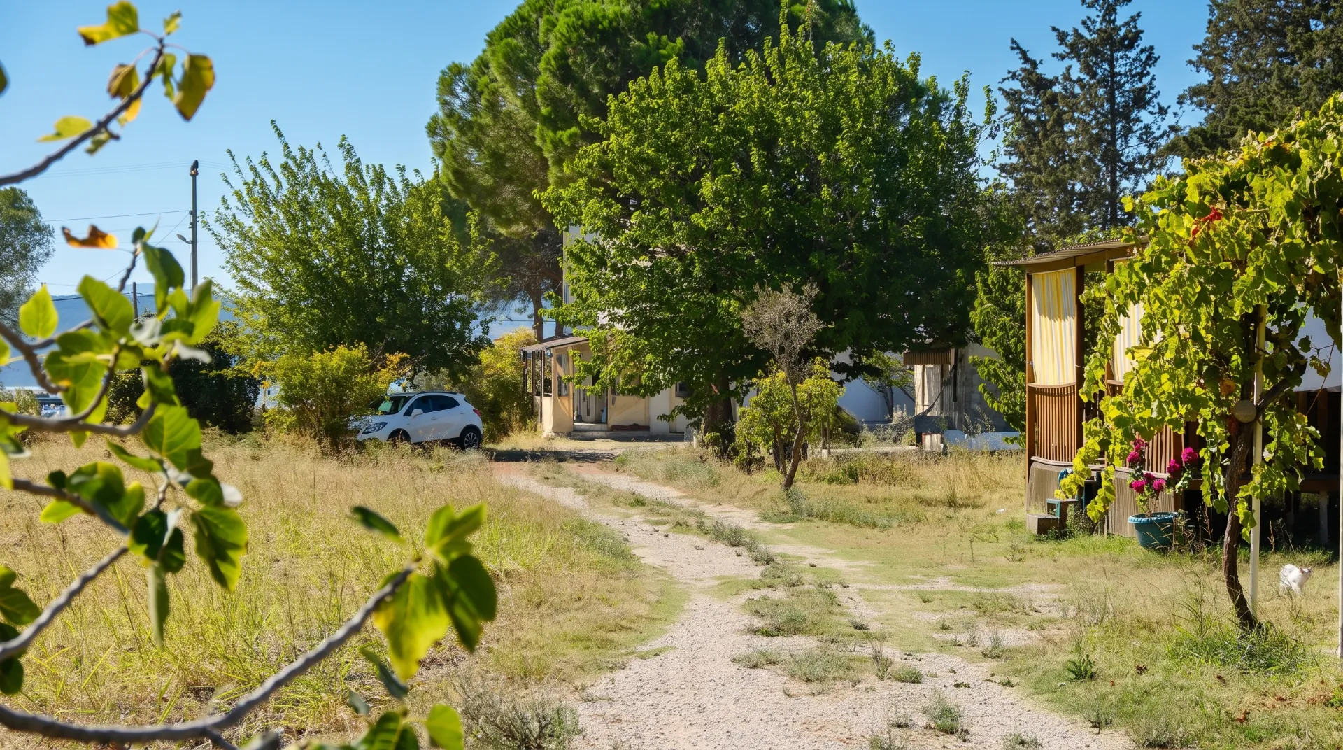 EPA İNCİ – URLA TORASAN’DA DENİZE SIFIR KİRALIK TINY HOUSE