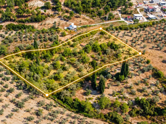 URLA YENİCEDE 7.220 M² ZEYTİNLİ BAĞ VE TARLA