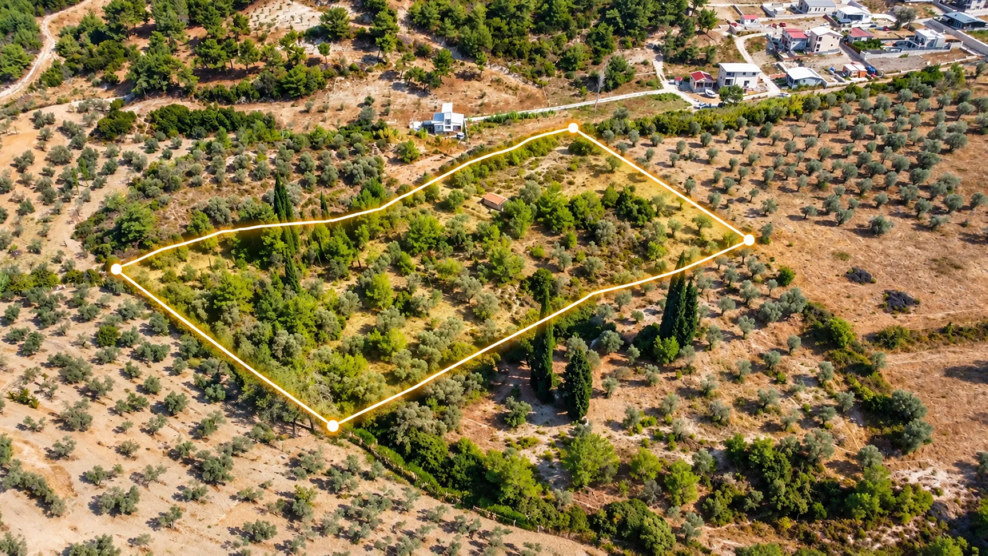 URLA YENİCEDE 7.220 M² ZEYTİNLİ BAĞ VE TARLA